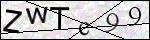 Human Confirmation Code (Captcha)