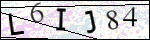 Human Confirmation Code (Captcha)