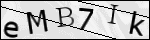 Human Confirmation Code (Captcha)