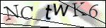 Human Confirmation Code (Captcha)
