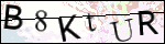 Human Confirmation Code (Captcha)
