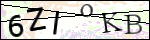 Human Confirmation Code (Captcha)