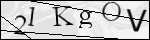 Human Confirmation Code (Captcha)