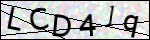 Human Confirmation Code (Captcha)
