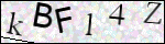 Human Confirmation Code (Captcha)