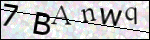 Human Confirmation Code (Captcha)