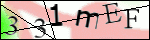 Human Confirmation Code (Captcha)