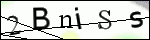Human Confirmation Code (Captcha)