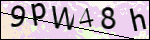 Human Confirmation Code (Captcha)