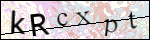 Human Confirmation Code (Captcha)