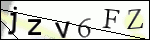 Human Confirmation Code (Captcha)