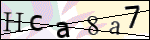 Human Confirmation Code (Captcha)