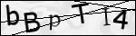 Human Confirmation Code (Captcha)