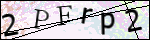 Human Confirmation Code (Captcha)