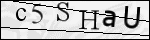 Human Confirmation Code (Captcha)