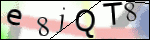 Human Confirmation Code (Captcha)