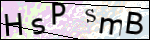 Human Confirmation Code (Captcha)
