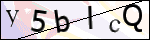 Human Confirmation Code (Captcha)