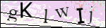 Human Confirmation Code (Captcha)