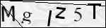 Human Confirmation Code (Captcha)