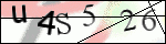 Human Confirmation Code (Captcha)