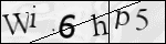 Human Confirmation Code (Captcha)