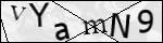 Human Confirmation Code (Captcha)