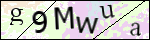 Human Confirmation Code (Captcha)
