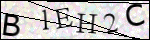 Human Confirmation Code (Captcha)
