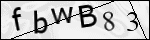 Human Confirmation Code (Captcha)