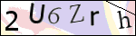 Human Confirmation Code (Captcha)