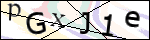 Human Confirmation Code (Captcha)