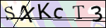 Human Confirmation Code (Captcha)