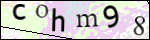 Human Confirmation Code (Captcha)