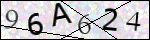 Human Confirmation Code (Captcha)