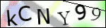 Human Confirmation Code (Captcha)