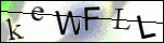 Human Confirmation Code (Captcha)