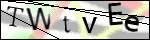Human Confirmation Code (Captcha)