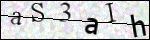 Human Confirmation Code (Captcha)