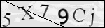 Human Confirmation Code (Captcha)