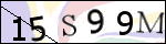 Human Confirmation Code (Captcha)