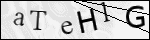 Human Confirmation Code (Captcha)