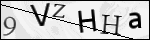 Human Confirmation Code (Captcha)