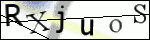 Human Confirmation Code (Captcha)