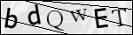 Human Confirmation Code (Captcha)