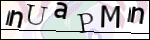 Human Confirmation Code (Captcha)