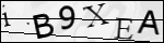 Human Confirmation Code (Captcha)