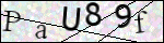 Human Confirmation Code (Captcha)