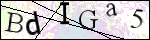 Human Confirmation Code (Captcha)