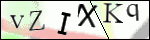 Human Confirmation Code (Captcha)